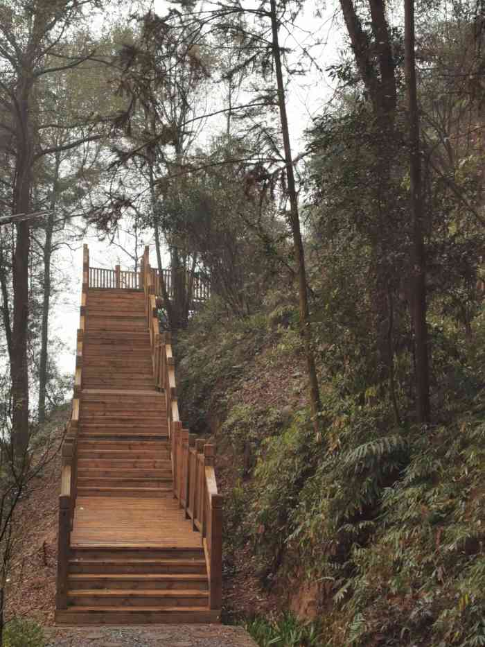 玉峰山森林公园-"玉峰山的花岛湖新建了自行车道,体验