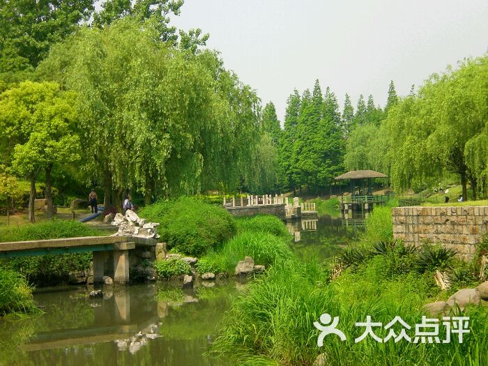 华泾公园
