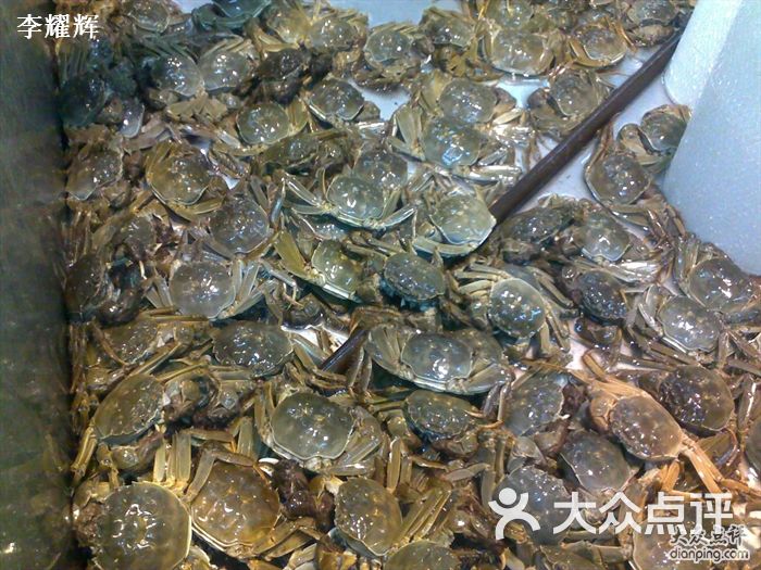 点击图片查看详情 华南海鲜市场生豪_华南农业大学校徽_华南海鲜市场