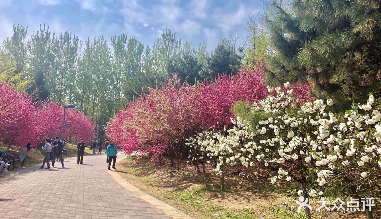 踏青赏花好去处
