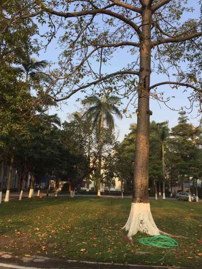 广东外语艺术职业学院燕岭校区