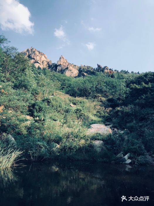 浮山森林公园图片 - 第37张