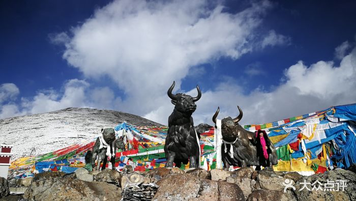 米拉山-景点图片-墨竹工卡县周边游-大众点评网