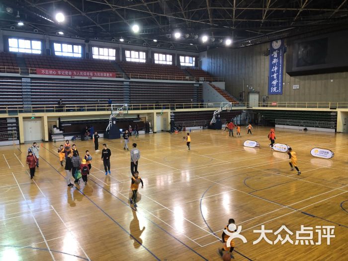 大学生体育馆场馆图片 第4张