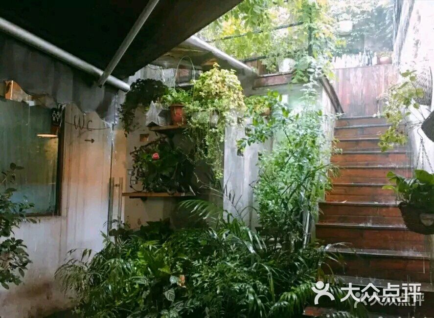 春树下花园餐厅(中隐于市店-图片-合肥美食-大众点评网