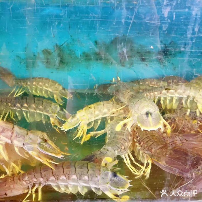 三亚湾水产综合交易市场图片 - 第8张