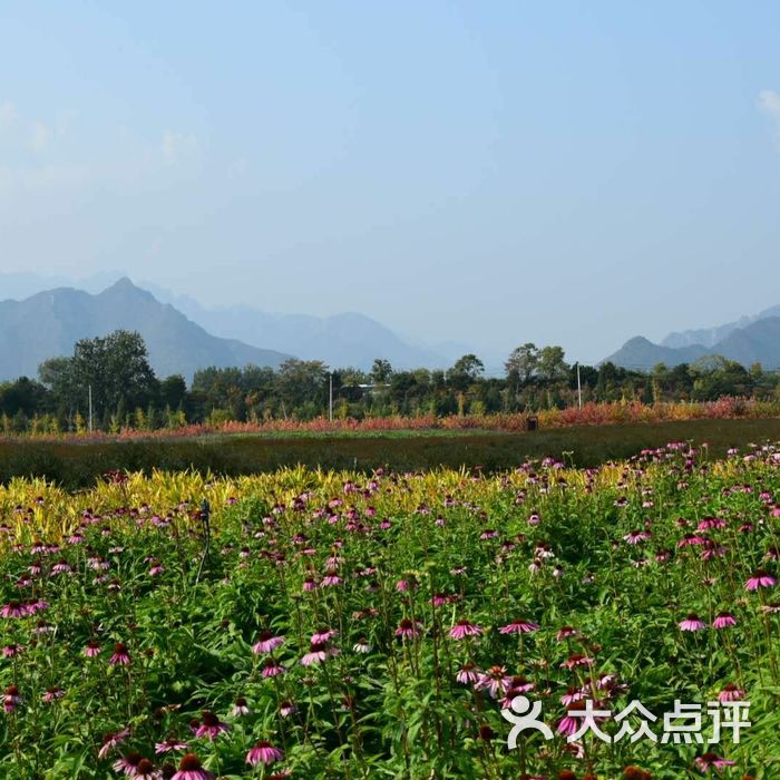 七孔桥花海