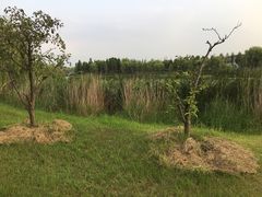 响水湖城市公园门票_地址_地图_攻略(图)-响水