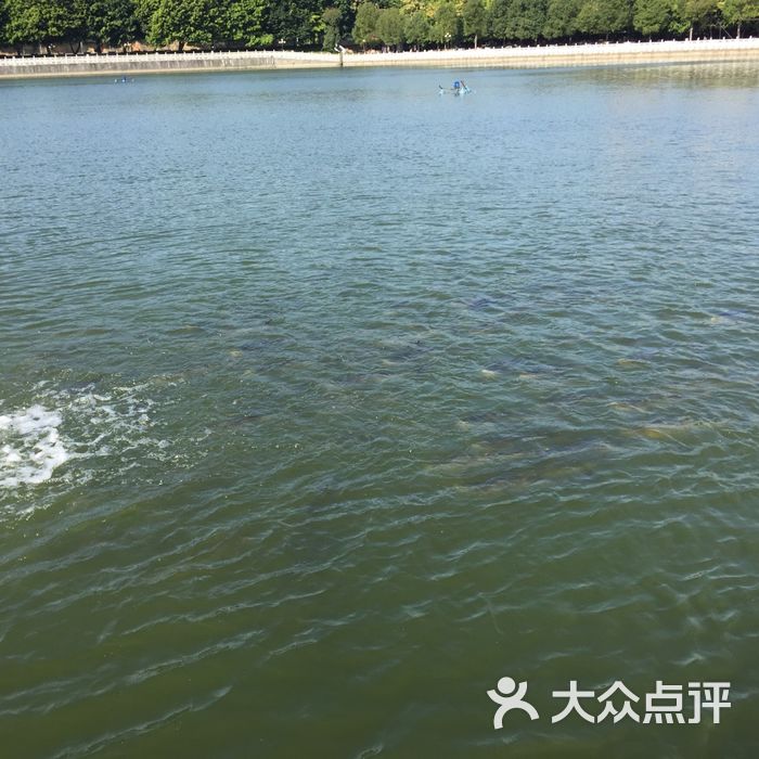 旧水坑森林公园