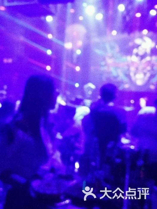 liv酒吧图片 - 第8张