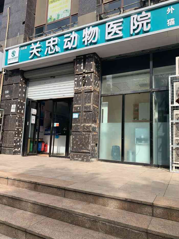 瑞派·关忠动物医院(马连道店)-"在大众点评上看到这家医院,抱着试试