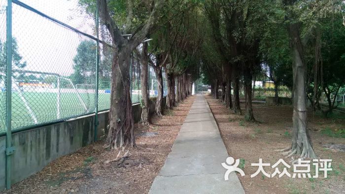 亿达足球训练基地-四周图片-广州运动健身