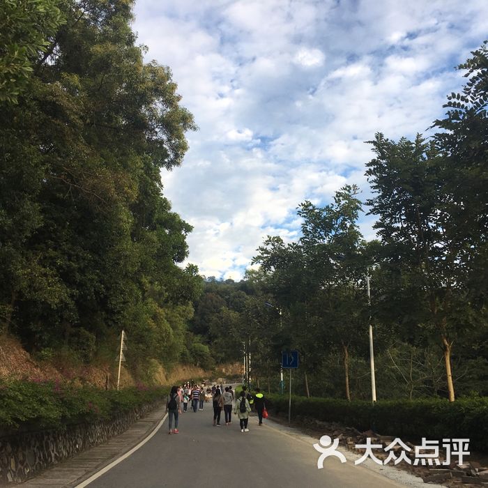 火炉山森林公园