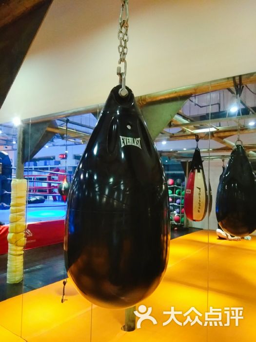 龙武士综合格斗馆