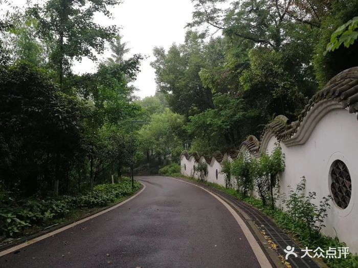 照母山森林公园图片 - 第245张