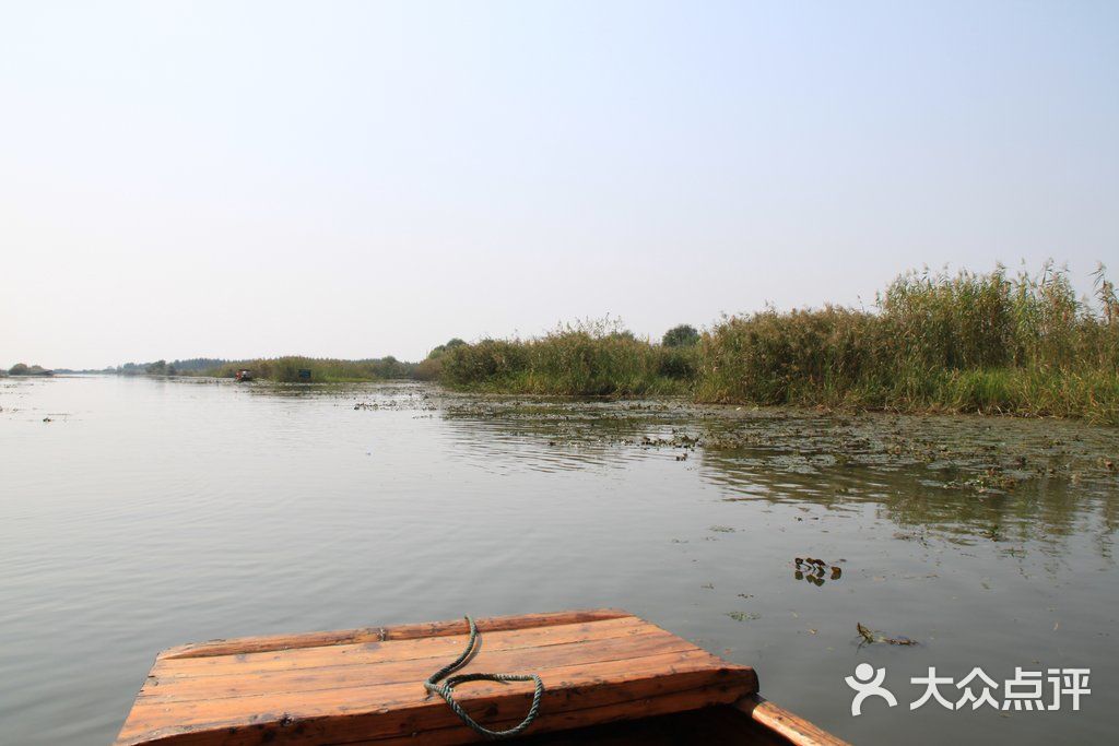 盐城大纵湖 (5)