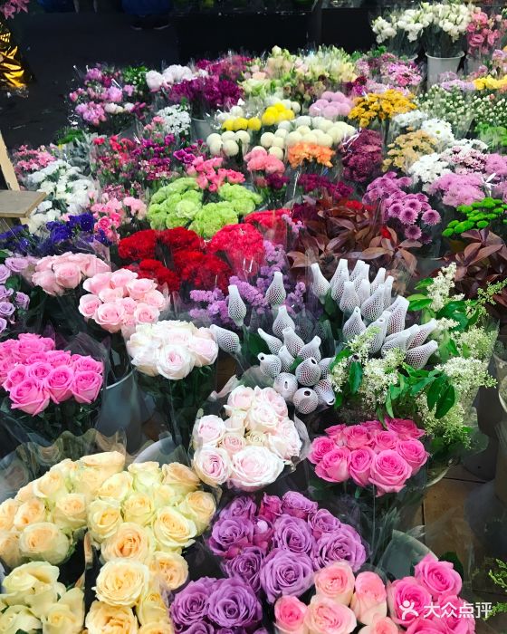 虹桥花卉市场图片