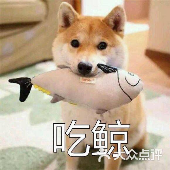 姑娘你没事儿吧上传的图片