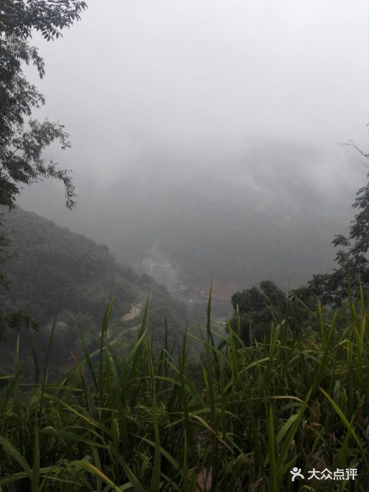 山顶上往下看景色不错就是下雨看不清楚