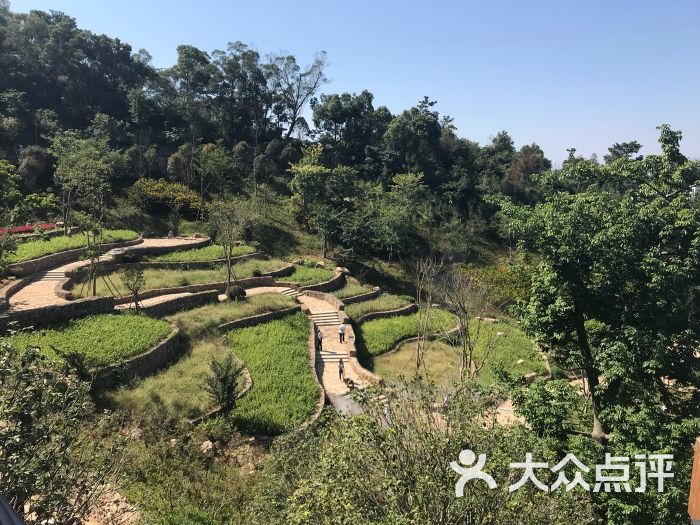 大腹山山地木栈道图片 - 第7张