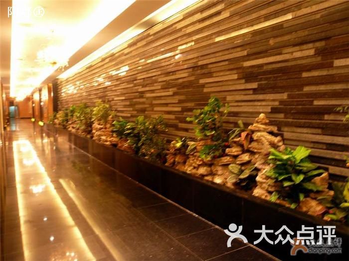 海鲜大酒楼_金悦海鲜大酒楼_金佰海鲜大酒楼