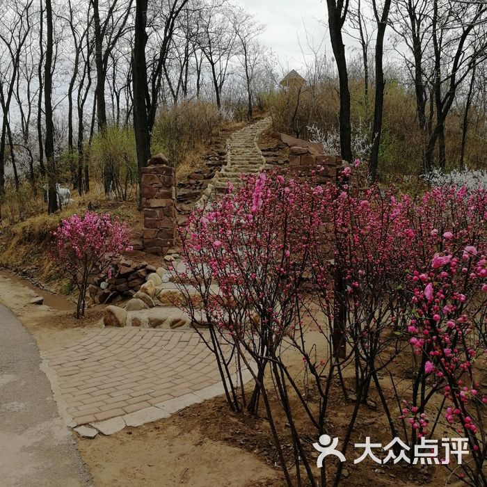 高峪山公园