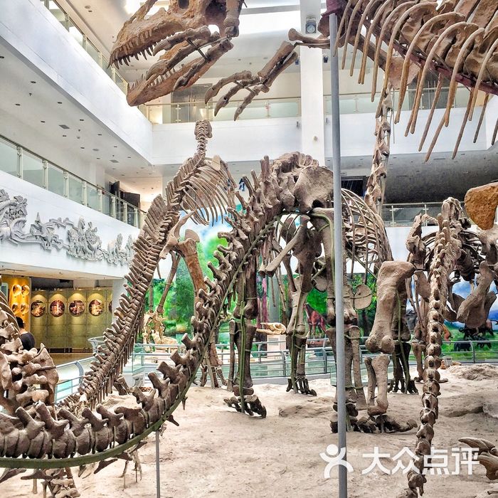 中国地质大学逸夫博物馆图片-北京博物馆-大众点评网