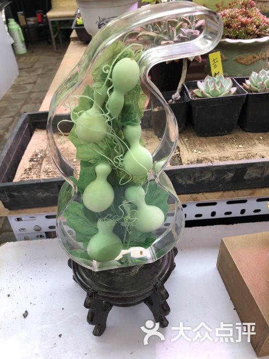 花乡花卉产业园区