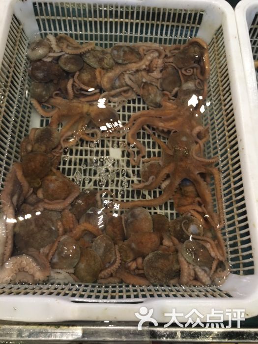 海中舟海鲜广场(浦东花木店)图片 - 第3171张
