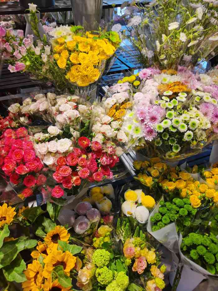 十里河花鸟鱼虫市场-"5月4日,我来逛十里河花鸟鱼虫,.