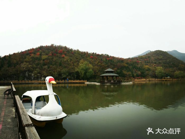 静之湖私属森林公园图片 - 第22张
