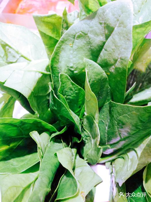 稻田捞渔生态鱼火锅(酒仙桥店)