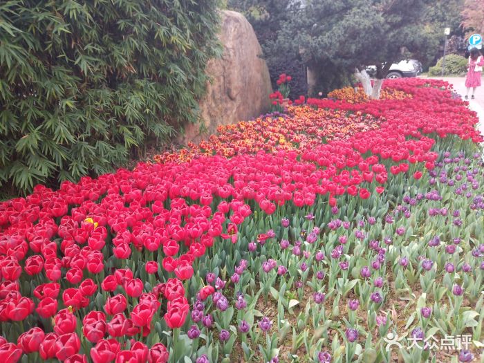 2019食分爱参加社区活动,多写优质点评!.-晓