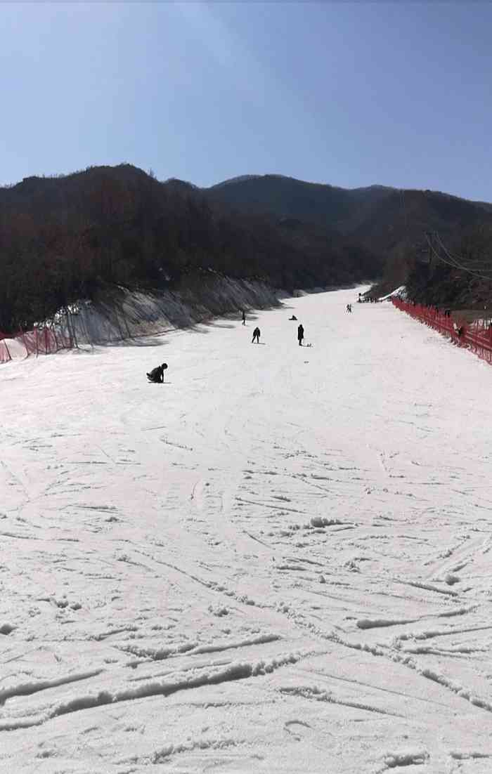 五龙高尔夫滑雪场-"奔丹东,戏冰雪,亲温泉,呛笨猪,逮