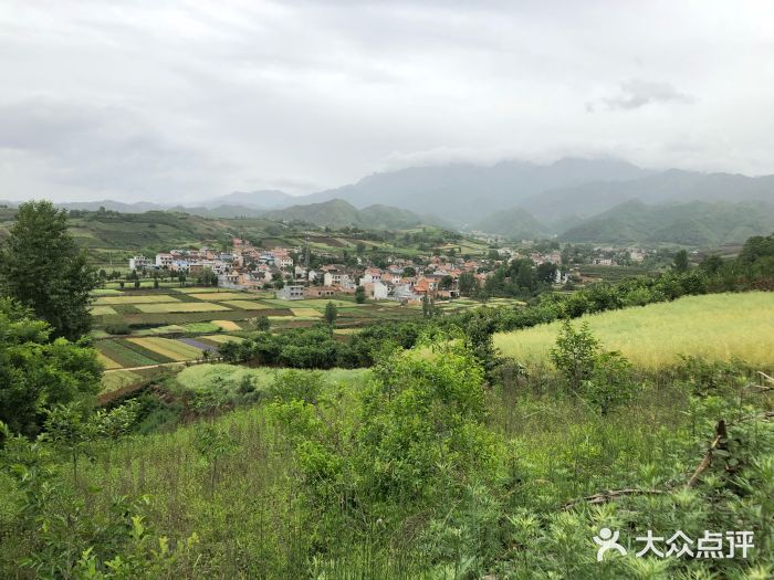 鲍旗寨村写生基地(普罗旺斯)-图片-蓝田县学习培训-大众点评网