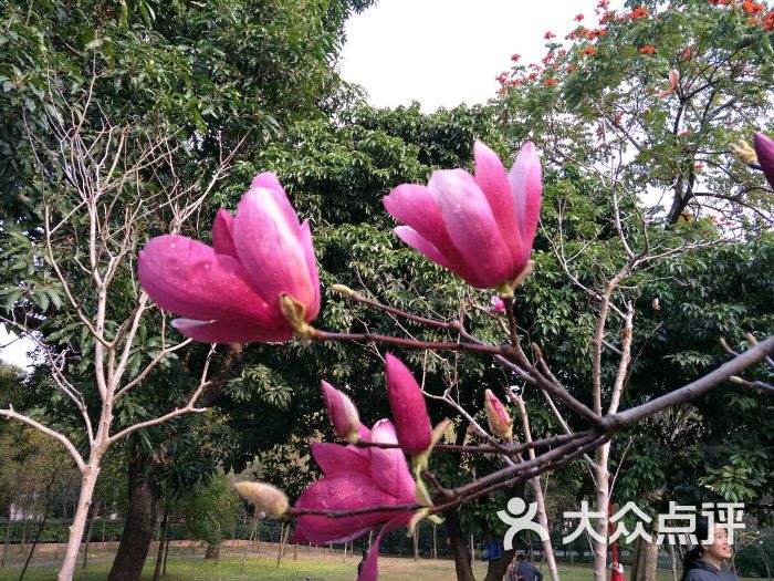 烈士陵园花卉馆