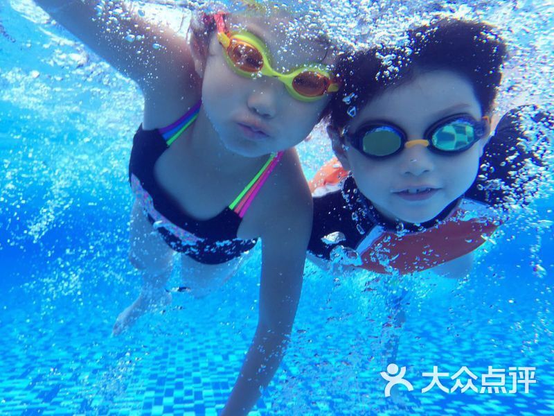 db swim 游泳培训(万体馆店)图片 - 第2张