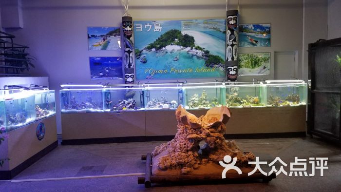 b曾中庭的超小型水族馆