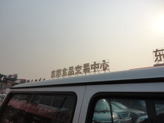 东郊花卉市场-图片-北京购物-大众点评网