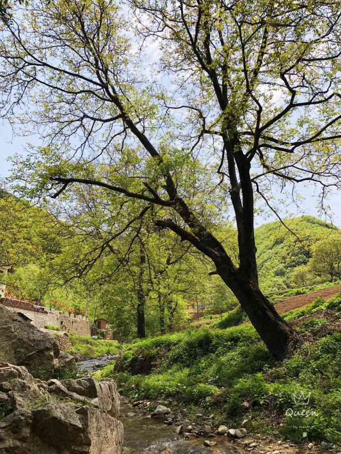 流峪飞峡-"驱车来到蓝田县蓝田县九间房乡柿园子村,走.