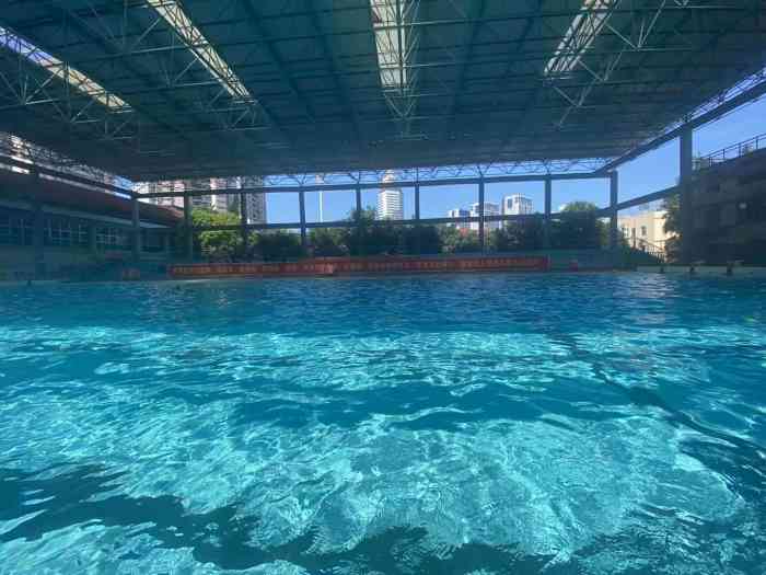 体育场桃源游泳馆-"这家游泳池在南宁市是属于比较的.
