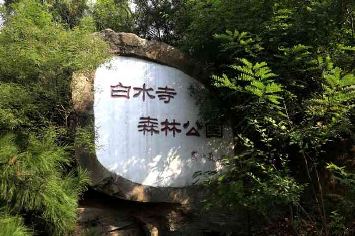 白水寺森林公园-"野生公园的味道 天气好的时候非常 .