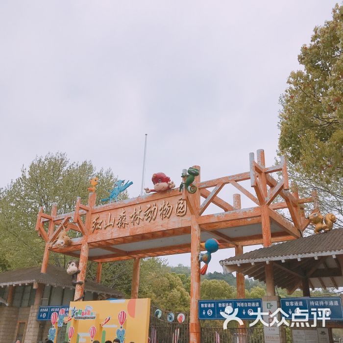 南京市红山森林动物园-图片-南京景点/周边游-大众点评网
