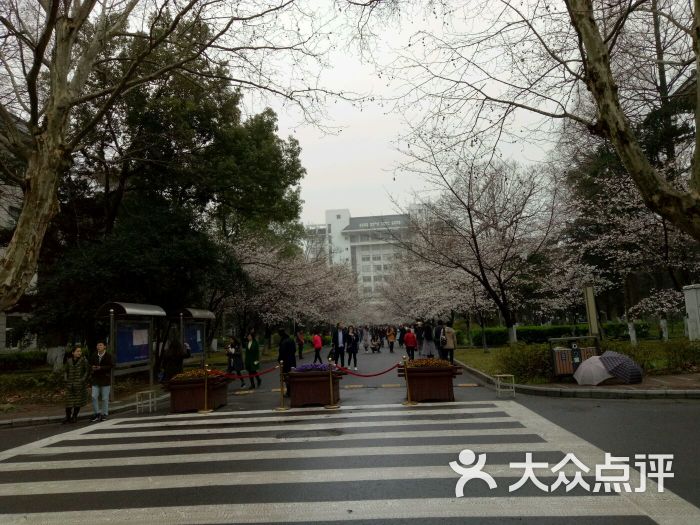南京林业大学图片 - 第143张