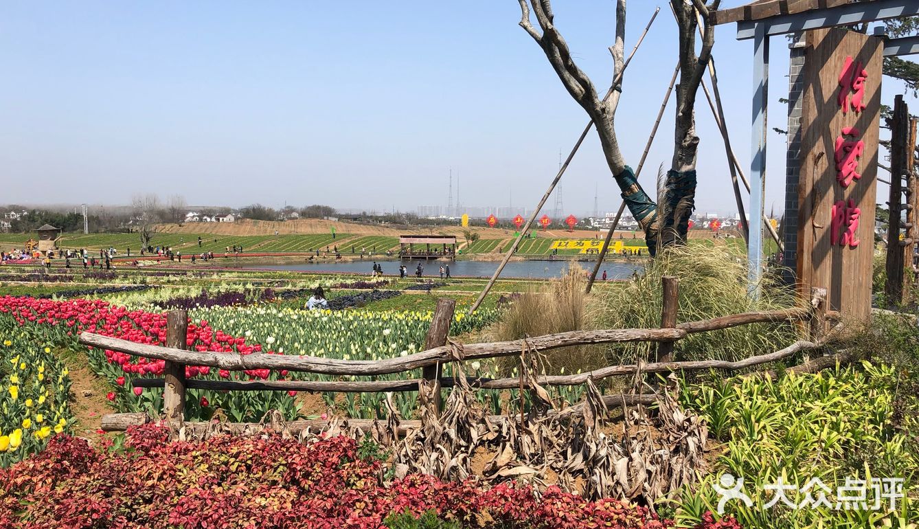 当然该到谷里去赏花了,江宁谷里的徐家院村油菜花已然盛开