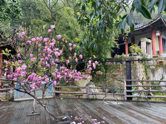 永川桃花源-"永川桃花源景区位于黄瓜山白岩槽卫星湖源头.