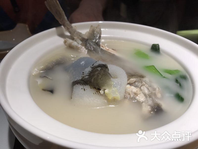 天正河豚(朝阳大悦城店-白汁河豚-菜-白汁河豚图片-北京美食-大众点