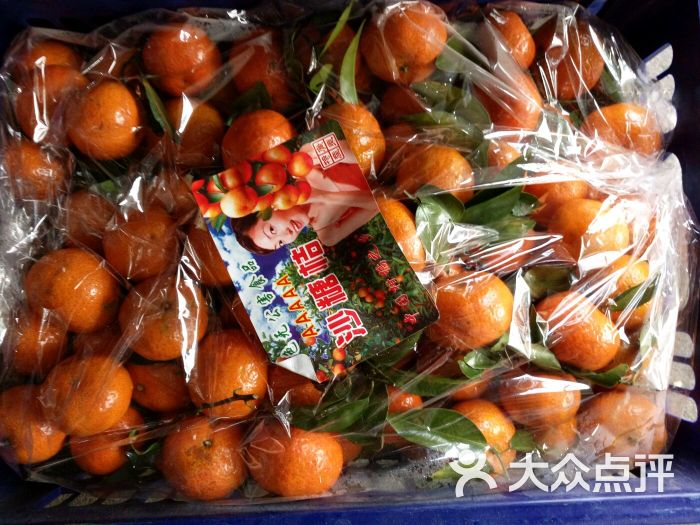 浩宇新鲜进口水果干果批发零售-图片-滨州购物