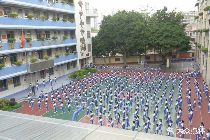 金兰苑小学图片
