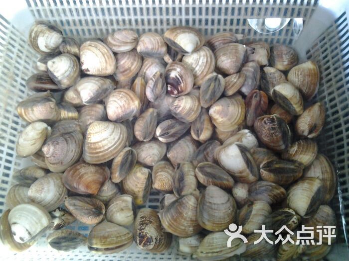 海鲜大餐_海鲜干货_红海湾海鲜